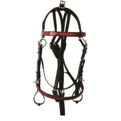 Yonies Open Bridle - Black w/Color Trim